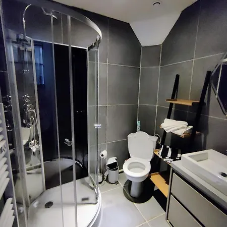 Hebergements Entiers Two Homes T1 Bas Or T1 -aux Terrasses Du Pech Foix