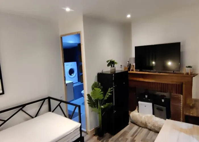 Hebergements Entiers Two Homes T1 Bas Or T1 -aux Terrasses Du Pech